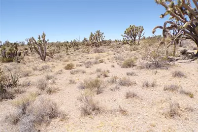 327-05-338 N Lost Mine, Dolan Springs, AZ 86441 - Photo 16