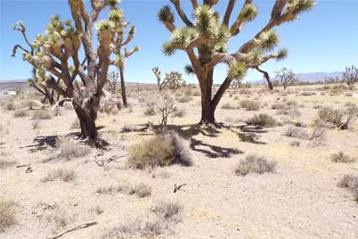 327-05-338 N Lost Mine, Dolan Springs, AZ 86441 - Photo 10