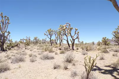 327-05-338 N Lost Mine, Dolan Springs, AZ 86441 - Photo 14