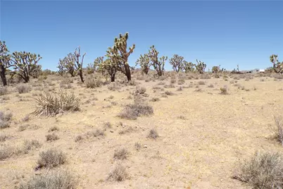 327-05-338 N Lost Mine, Dolan Springs, AZ 86441 - Photo 6