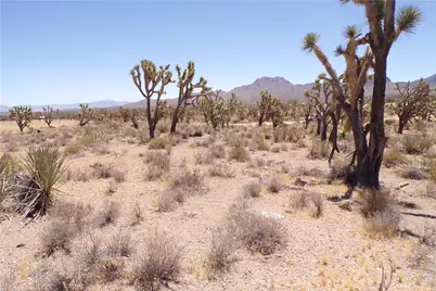327-05-338 N Lost Mine, Dolan Springs, AZ 86441 - Photo 22