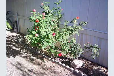3114 E Northfield Avenue, Kingman, AZ 86409 - Photo 44