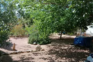 3114 E Northfield Ave, Kingman, AZ 86409 - Photo 48