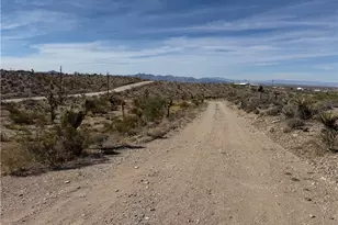 1486 W Calico Dr, Meadview, AZ 86444 - Photo 60