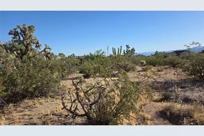 29952 Driftwood Drive, Meadview, AZ 86444 - Photo 12
