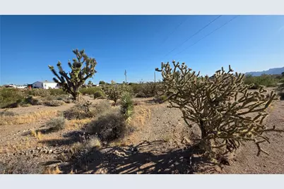 29952 Driftwood Drive, Meadview, AZ 86444 - Photo 28