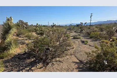 29952 Driftwood Drive, Meadview, AZ 86444 - Photo 4