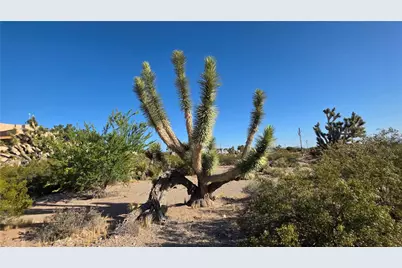 29952 Driftwood Drive, Meadview, AZ 86444 - Photo 24