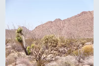 244-06-263 E Joshua Road, Yucca, AZ 86438 - Photo 6