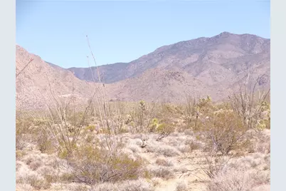 244-06-264 E Joshua Road, Yucca, AZ 86438 - Photo 4