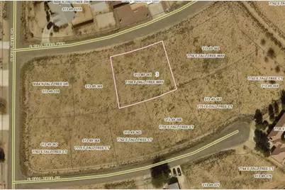 7768 E Tall Tree Way, Kingman, AZ 86401 - Photo 2