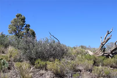 253-08-104 Clove Hitch Hlw, Kingman, AZ 86409 - Photo 8