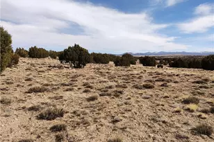 15 County Rd N8641, Concho, AZ 85924 - Photo 60