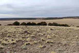 15 County Rd N8641, Concho, AZ 85924 - Photo 52