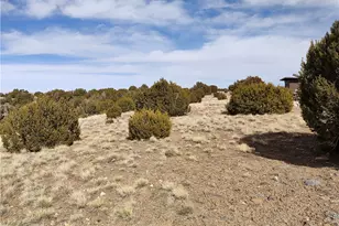 15 County Rd N8641, Concho, AZ 85924 - Photo 58