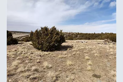 15 County Rd N8641, Concho, AZ 85924 - Photo 50