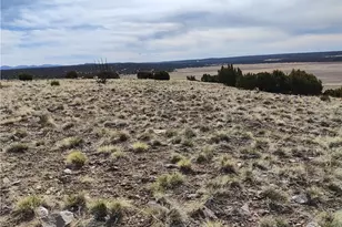 15 County Rd N8641, Concho, AZ 85924 - Photo 56