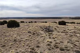 15 County Rd N8641, Concho, AZ 85924 - Photo 40