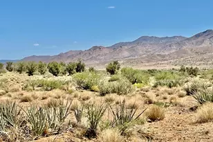 2424 N Doyle Rd, Kingman, AZ 86401 - Photo 1