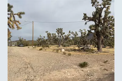 18176 N Peach Drive, Dolan Springs, AZ 86441 - Photo 44