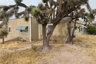 18176 N Peach Dr, Dolan Springs, AZ 86441 - Photo 6