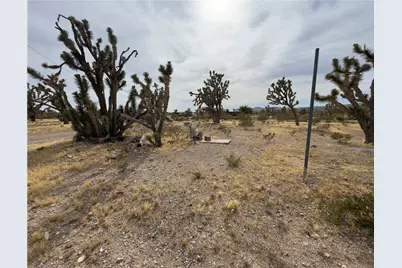 18176 N Peach Drive, Dolan Springs, AZ 86441 - Photo 40