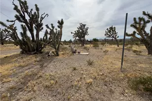 18176 N Peach Dr, Dolan Springs, AZ 86441 - Photo 40
