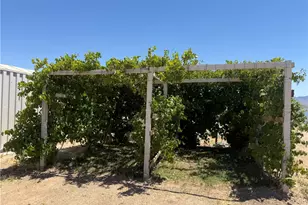 10801 7th St, Dolan Springs, AZ 86441 - Photo 30