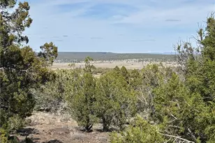 352-26-004 Doe Trail, Kingman, AZ 86401 - Photo 1