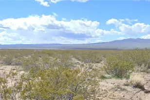 316-11-063 W Tenth St, Dolan Springs, AZ 86441 - Photo 1