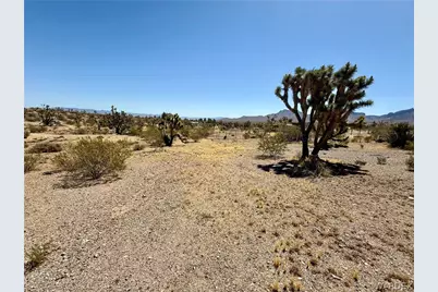 17837 Kitmit Drive, Dolan Springs, AZ 86441 - Photo 4