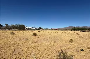 8051 W Seventh St, Dolan Springs, AZ 86441 - Photo 56