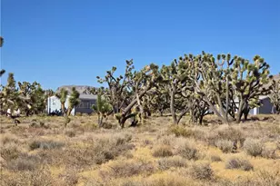 26012 N Driftwood Dr, Meadview, AZ 86444 - Photo 26
