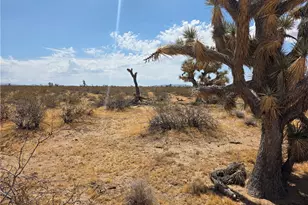 122-29-009 S Tom Mix Rd, Yucca, AZ 86438 - Photo 1