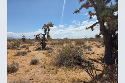 122-29-009 S Tom Mix Road, Yucca, AZ 86438 - Photo 14