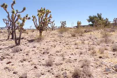 328-04-210 N Magnolia Drive, Dolan Springs, AZ 86441 - Photo 18