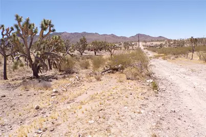328-04-210 N Magnolia Drive, Dolan Springs, AZ 86441 - Photo 4