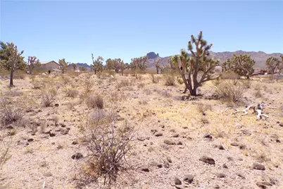 328-04-210 N Magnolia Drive, Dolan Springs, AZ 86441 - Photo 14