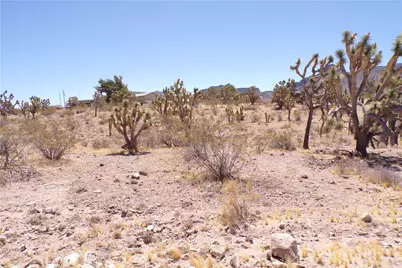 328-04-210 N Magnolia Drive, Dolan Springs, AZ 86441 - Photo 6