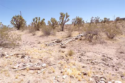 328-04-210 N Magnolia Drive, Dolan Springs, AZ 86441 - Photo 8