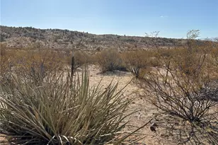 5720 S Mountain Lion Rd, Kingman, AZ 86401 - Photo 8