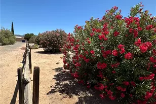3003 Hualapai Mountain Rd, Kingman, AZ 86401 - Photo 38