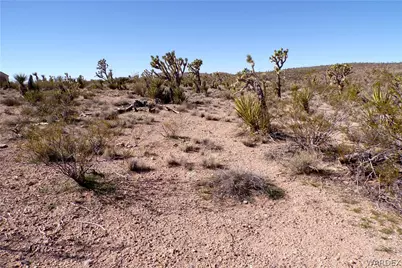 18599 N Mt Tipton Drive, Dolan Springs, AZ 86441 - Photo 10