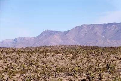 327-04-169 Mt Tipton, Dolan Springs, AZ 86441 - Photo 12