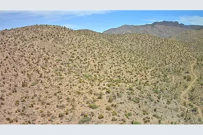 328-06-437 N Mt Tipton Drive, Dolan Springs, AZ 86441 - Photo 46
