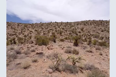 328-06-437 N Mt Tipton Drive, Dolan Springs, AZ 86441 - Photo 24