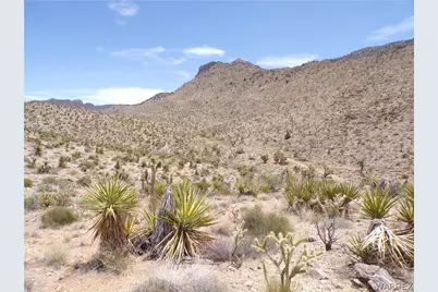 328-06-437 N Mt Tipton Drive, Dolan Springs, AZ 86441 - Photo 22