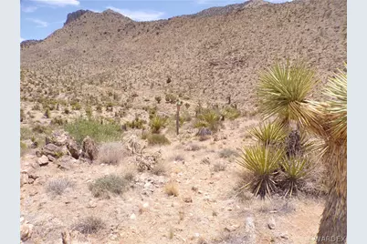 328-06-437 N Mt Tipton Drive, Dolan Springs, AZ 86441 - Photo 28