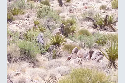 328-06-437 N Mt Tipton Drive, Dolan Springs, AZ 86441 - Photo 14