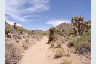 328-06-437 N Mt Tipton Drive, Dolan Springs, AZ 86441 - Photo 32